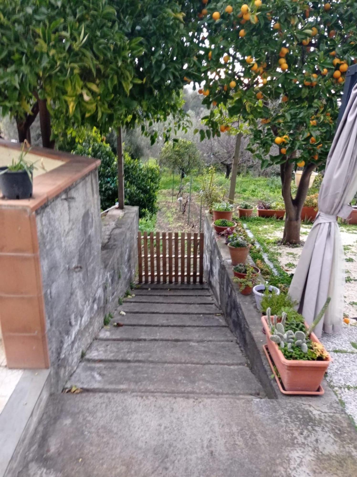 Villa Ai Tre Desideri La Casita Aci Castello Exterior foto