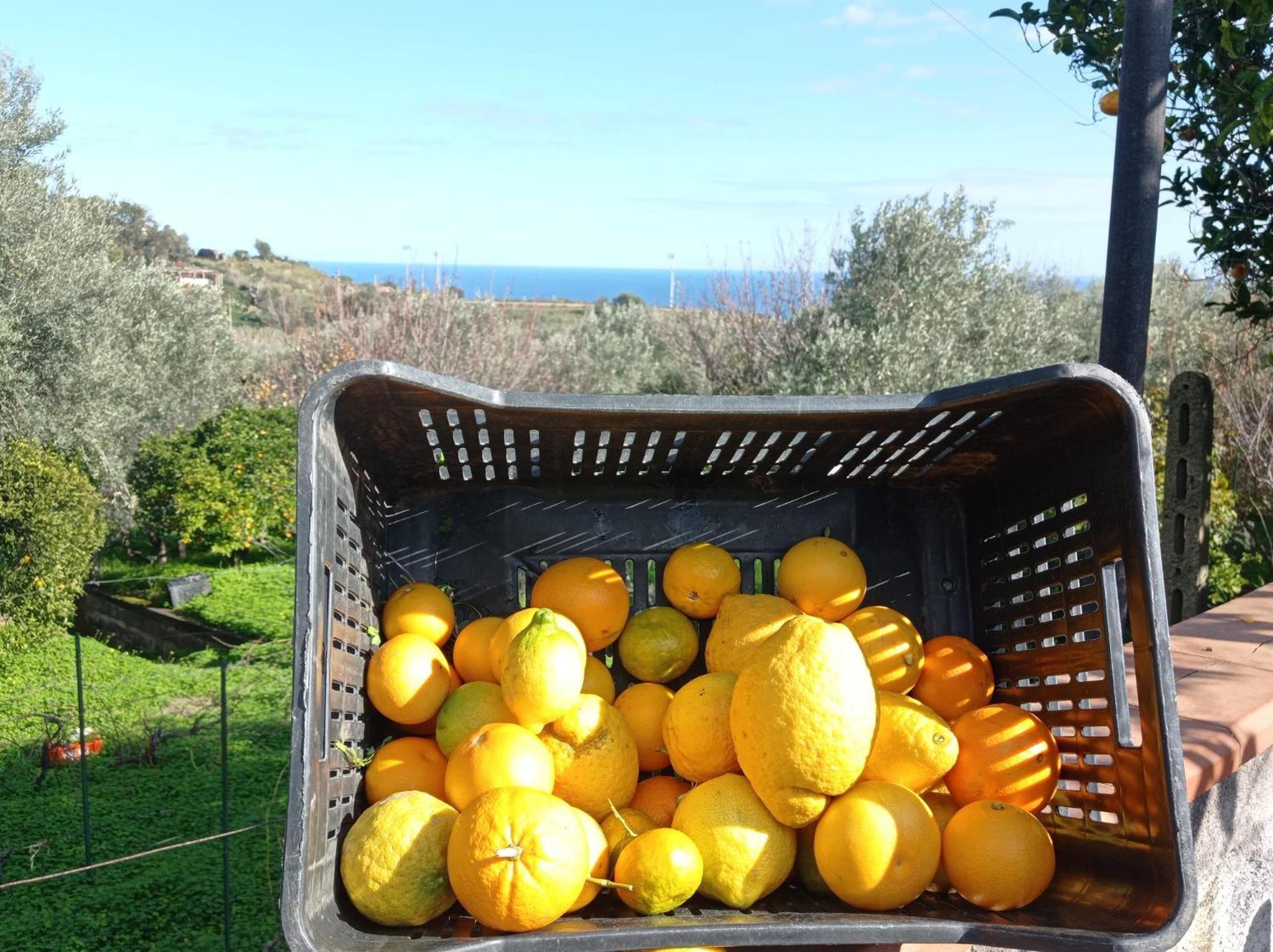 Villa Ai Tre Desideri La Casita Aci Castello Exterior foto
