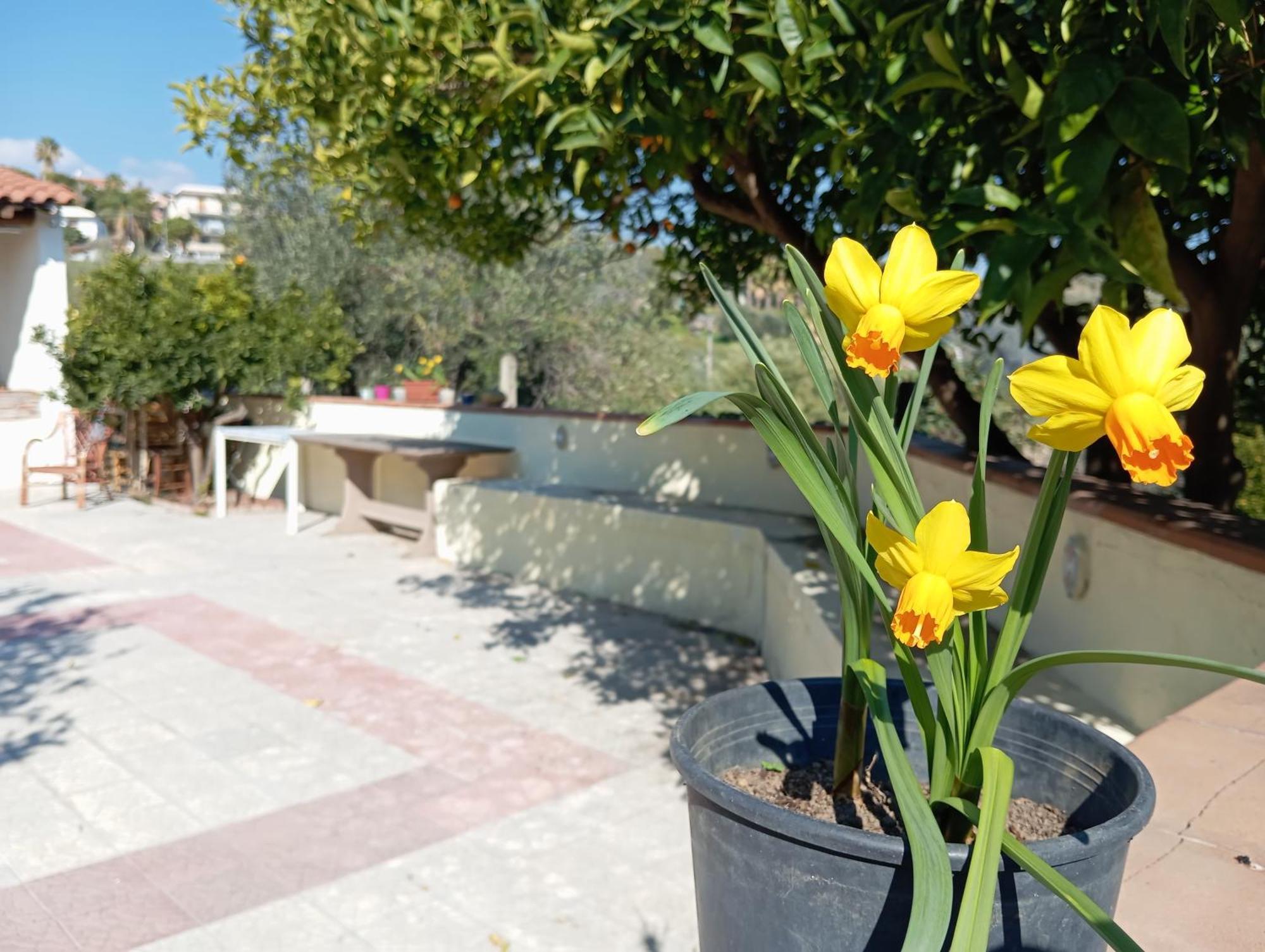 Villa Ai Tre Desideri La Casita Aci Castello Exterior foto